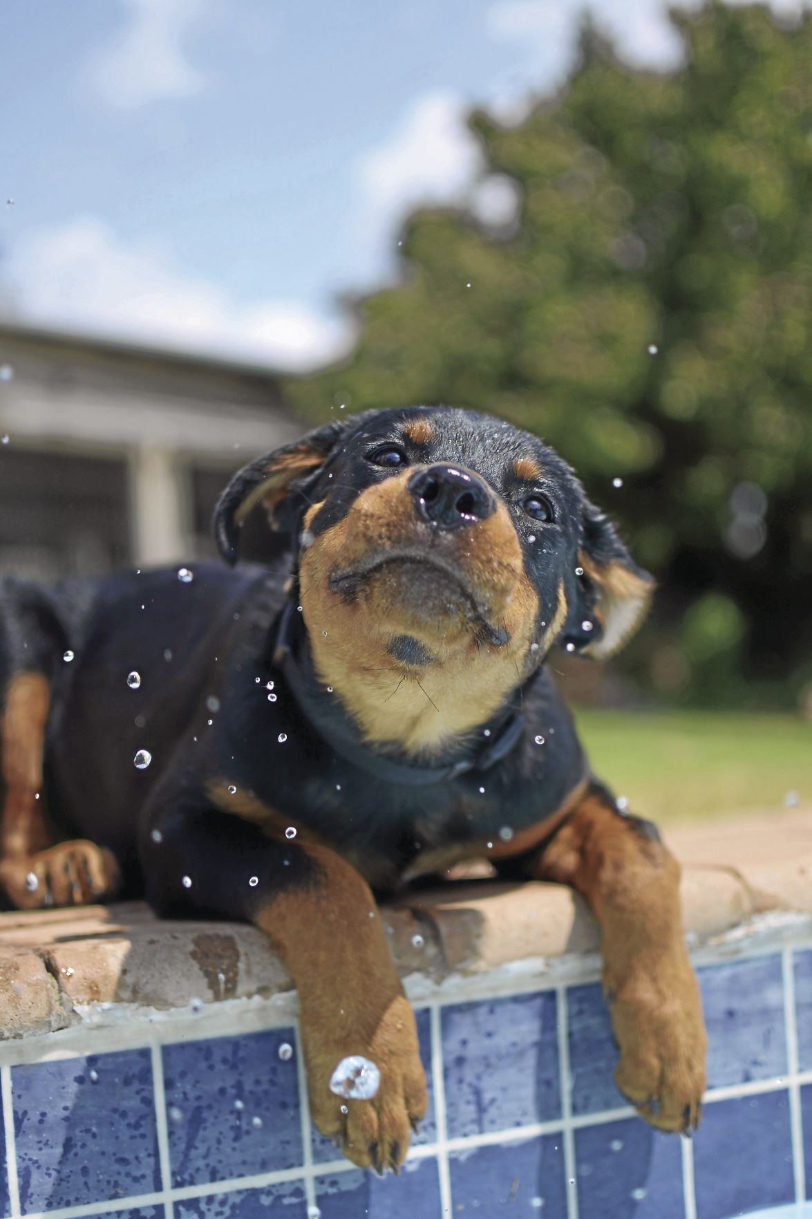 _stephanie-cook-0yHhzZi2wPI-unsplash_CMYK.jpg